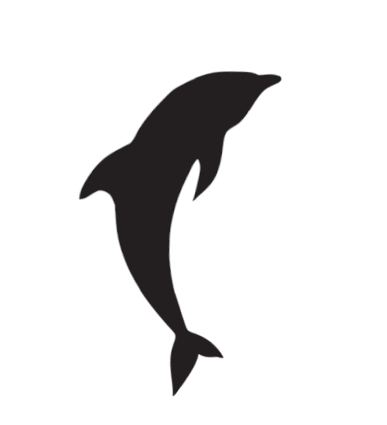 Cosmic Dolphin Logo